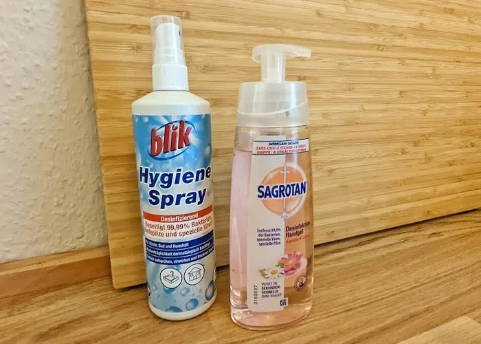 Stylisches Villa-apartment In Schlossgartennaehe *